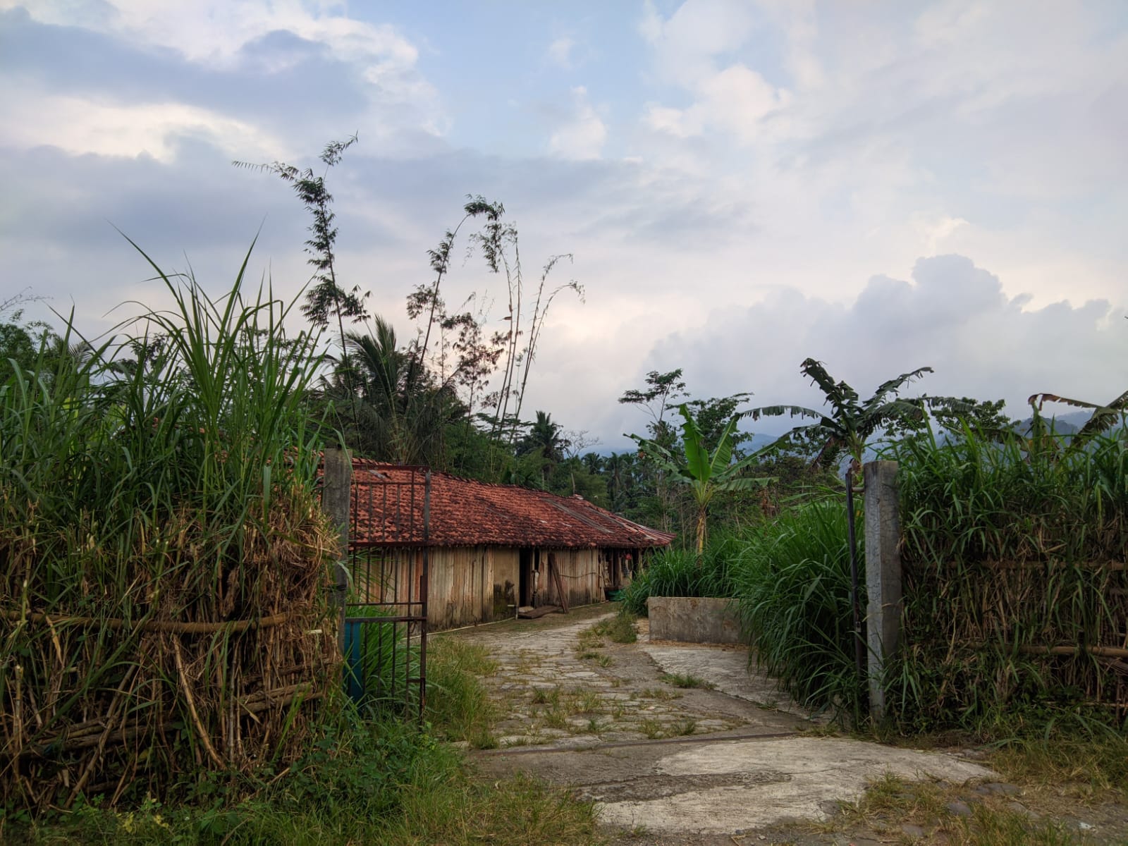 Foto Desa 4